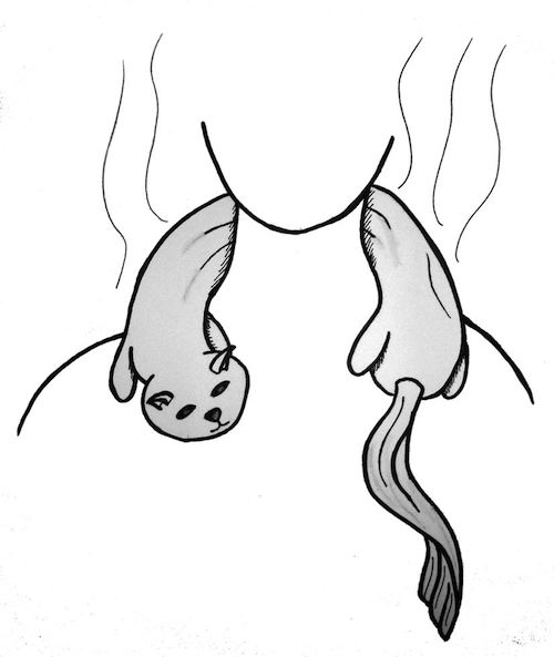 Värmedyna