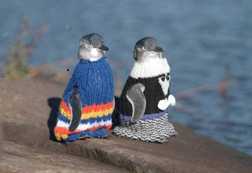 penguin_jumpers