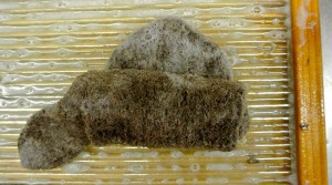 tantkofta-valka-6