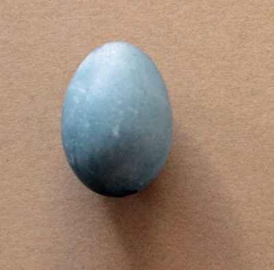 egg4