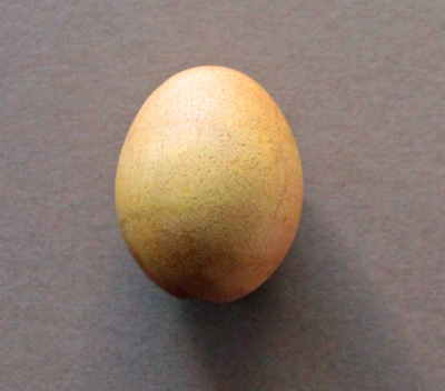 egg6